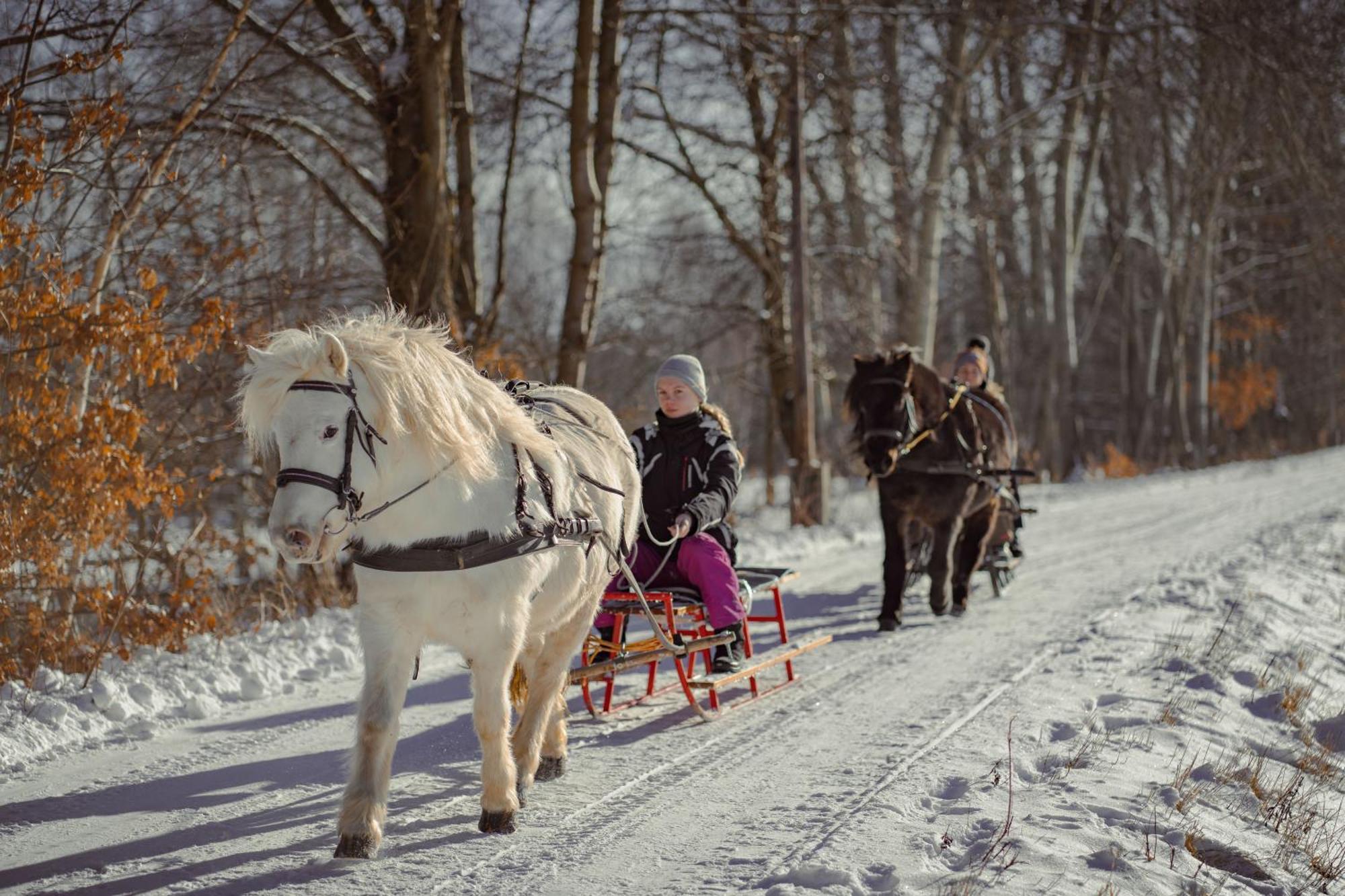 Вилла Zajacowka Поляница-Здруй Экстерьер фото