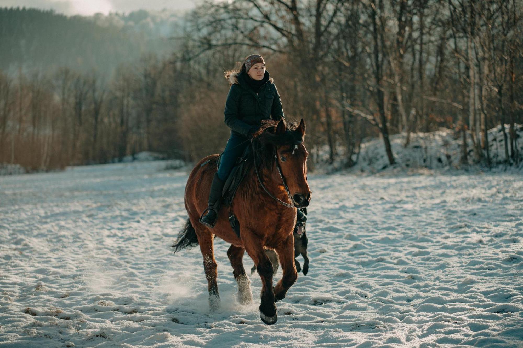 Вилла Zajacowka Поляница-Здруй Экстерьер фото